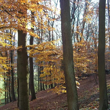 Waldhaus * Guxhagen